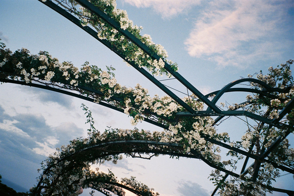 Emma Hawkins Sunnyside Estate 35mm Film Wedding Photography