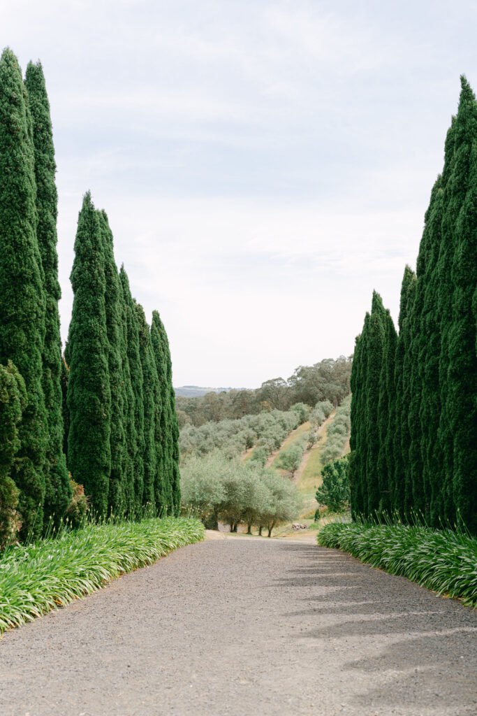 Emma Hawkins Pietro Gallus Estate Wedding Photography 