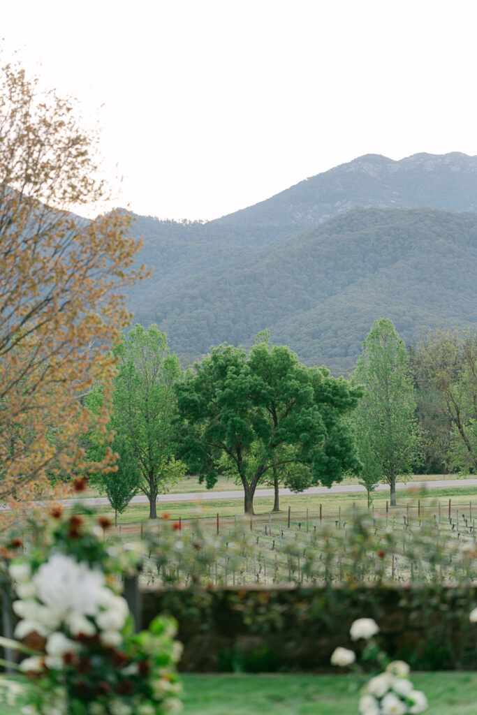 Emma Hawkins Feathertop Winery Wedding Photography 