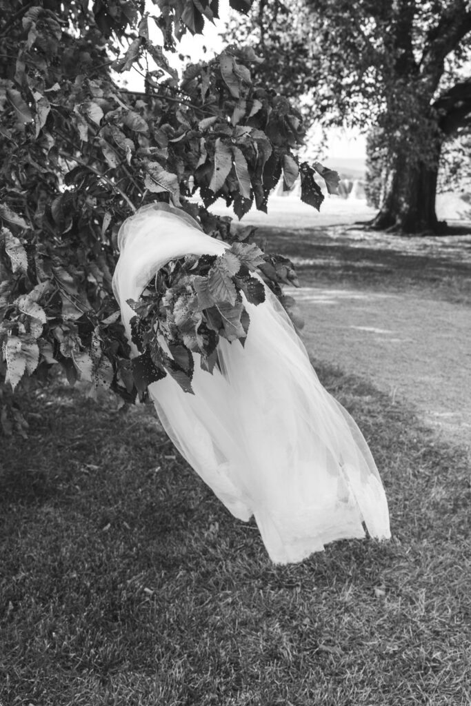 Emma Hawkins Stones of the Yarra Valley Wedding Photographer