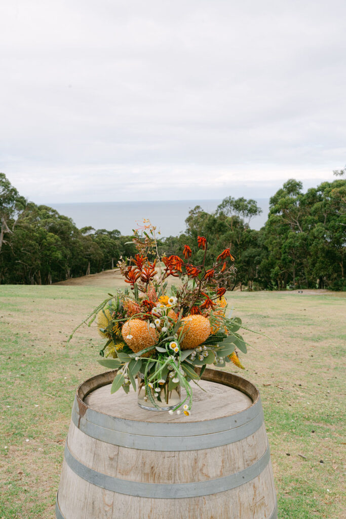 Emma Hawkins The Peak Lorne Wedding Photographer
