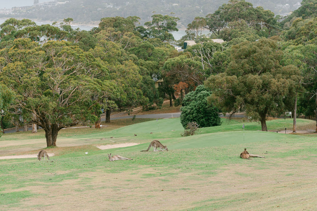 Emma Hawkins Lorne Wedding Photographer
