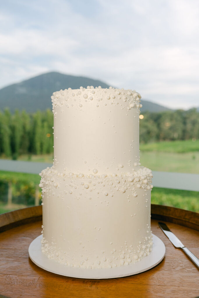 Emma Hawkins Boat O’Craigo Wedding Photographer